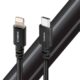 Audioquest USB-C to Lightning - Carbon